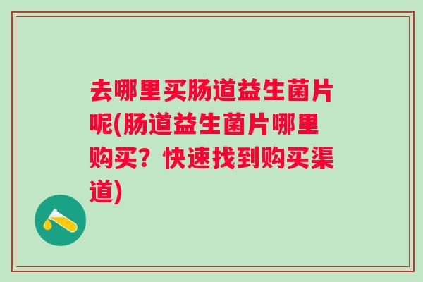 去哪里买肠道益生菌片呢(肠道益生菌片哪里购买？快速找到购买渠道)