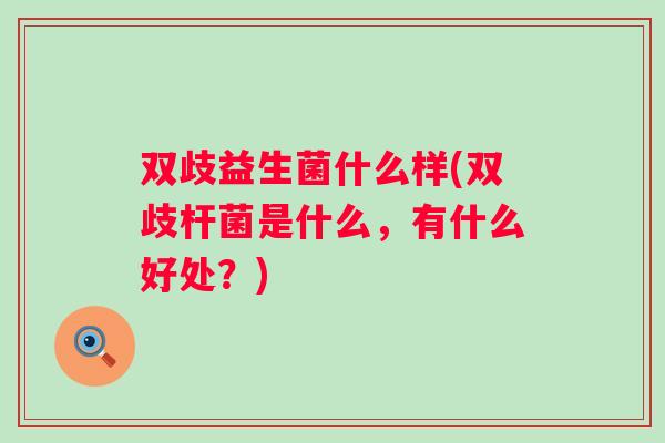 双歧益生菌什么样(双歧杆菌是什么,有什么好处?) 双歧益生菌什么样(双歧杆菌是什么,有什么好处?)