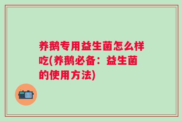 养鹅专用益生菌怎么样吃(养鹅必备:益生菌的使用方法) 养鹅专用益生菌怎么样吃(养鹅必备:益生菌的使用方法)