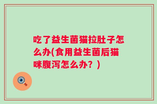 吃了益生菌猫拉肚子怎么办(食用益生菌后猫咪怎么办？)