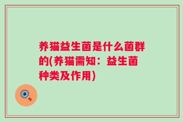 养猫益生菌是什么菌群的(养猫需知：益生菌种类及作用)