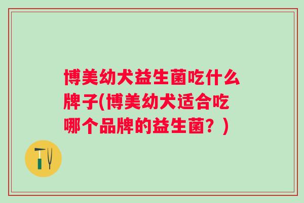 博美幼犬益生菌吃什么牌子(博美幼犬适合吃哪个品牌的益生菌?) 博美幼犬益生菌吃什么牌子(博美幼犬适合吃哪个品牌的益生菌?)