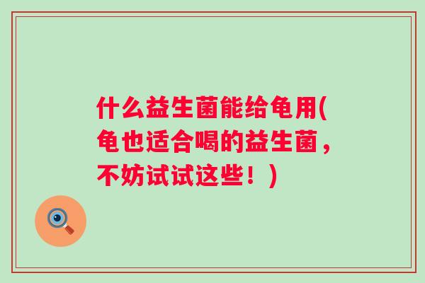 什么益生菌能给龟用(龟也适合喝的益生菌,不妨试试这些!) 什么益生菌能给龟用(龟也适合喝的益生菌,不妨试试这些!)