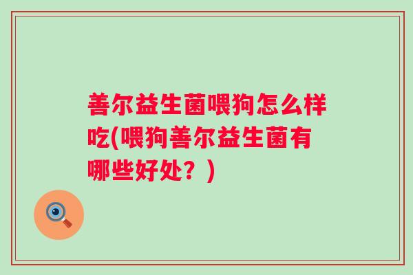 善尔益生菌喂狗怎么样吃(喂狗善尔益生菌有哪些好处？)