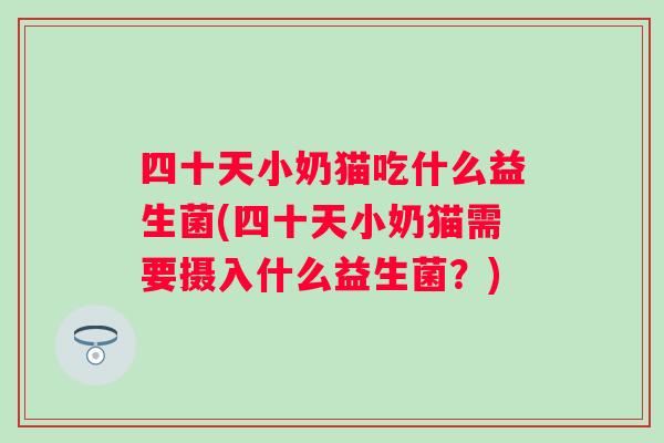 四十天小奶猫吃什么益生菌(四十天小奶猫需要摄入什么益生菌？)