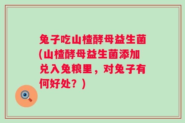 兔子吃山楂酵母益生菌(山楂酵母益生菌添加兑入兔粮里,对兔子有何好处?) 兔子吃山楂酵母益生菌(山楂酵母益生菌添加兑入兔粮里,对兔子有何好处?)
