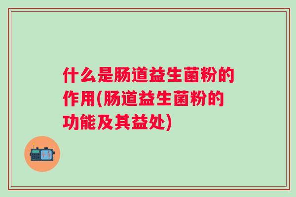什么是肠道益生菌粉的作用(肠道益生菌粉的功能及其益处)
