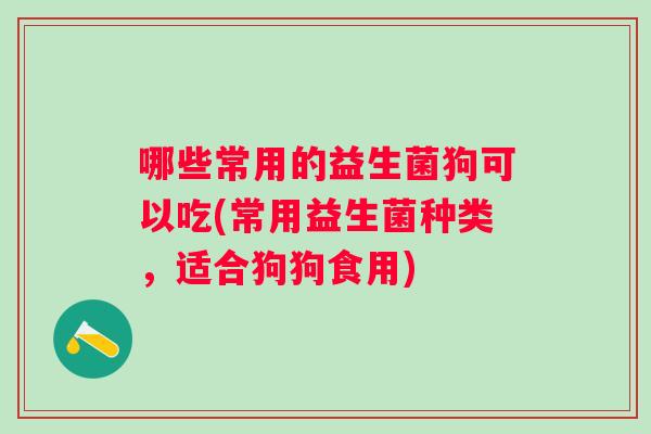 哪些常用的益生菌狗可以吃(常用益生菌种类，适合狗狗食用)
