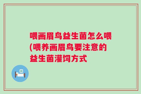 喂画眉鸟益生菌怎么喂(喂养画眉鸟要注意的益生菌灌饲方式