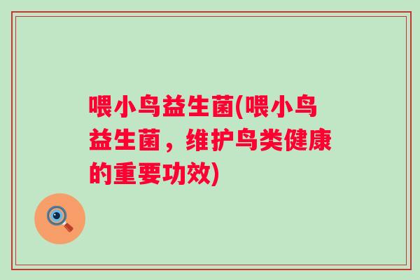 喂小鸟益生菌(喂小鸟益生菌，维护鸟类健康的重要功效)