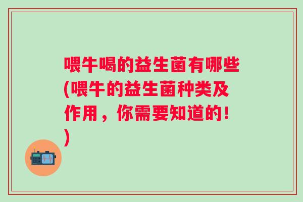 喂牛喝的益生菌有哪些(喂牛的益生菌种类及作用,你需要知道的!) 喂牛喝的益生菌有哪些(喂牛的益生菌种类及作用,你需要知道的!)