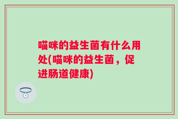 喵咪的益生菌有什么用处(喵咪的益生菌，促进肠道健康)