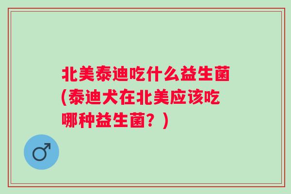 北美泰迪吃什么益生菌(泰迪犬在北美应该吃哪种益生菌？)