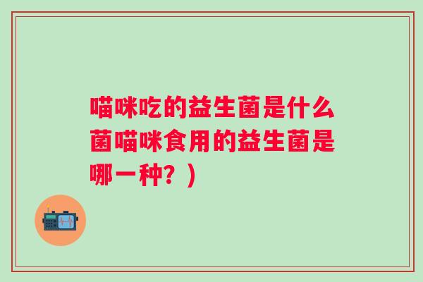 喵咪吃的益生菌是什么菌喵咪食用的益生菌是哪一种?) 喵咪吃的益生菌是什么菌喵咪食用的益生菌是哪一种?)