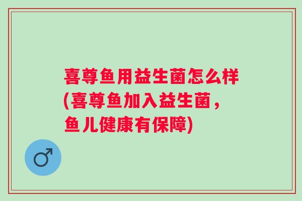 喜尊鱼用益生菌怎么样(喜尊鱼加入益生菌，鱼儿健康有保障)
