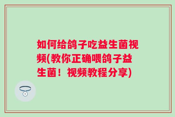 如何给鸽子吃益生菌视频(教你正确喂鸽子益生菌!视频教程分享) 如何给鸽子吃益生菌视频(教你正确喂鸽子益生菌!视频教程分享)