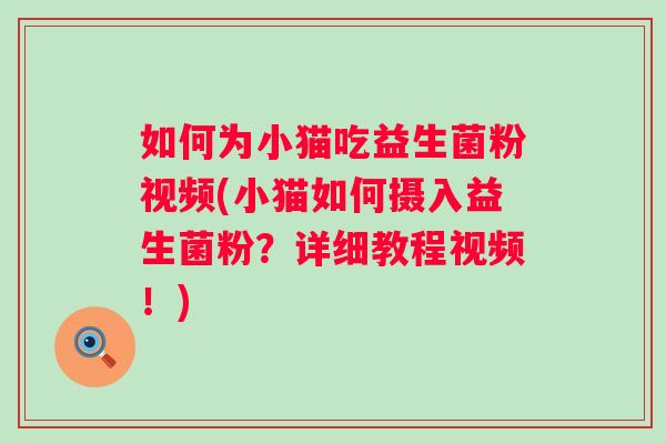 如何为小猫吃益生菌粉视频(小猫如何摄入益生菌粉？详细教程视频！)