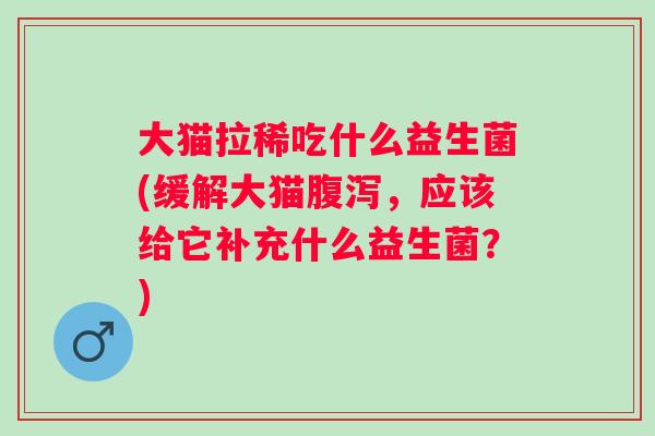 大猫拉稀吃什么益生菌(缓解大猫，应该给它补充什么益生菌？)