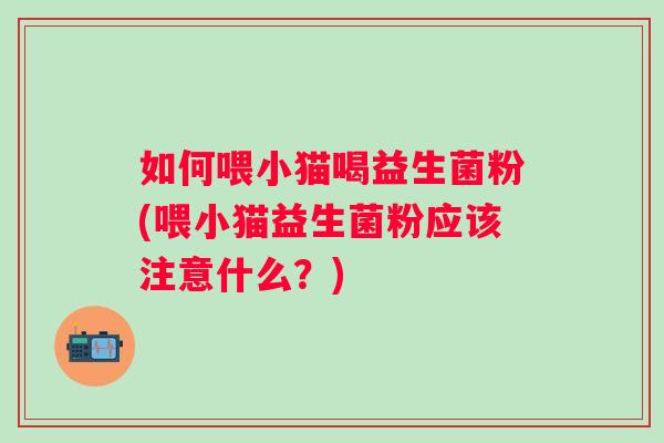 如何喂小猫喝益生菌粉(喂小猫益生菌粉应该注意什么？)