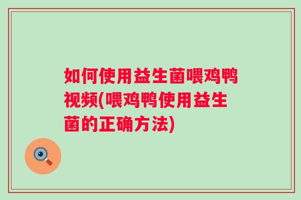 如何使用益生菌喂鸡鸭视频(喂鸡鸭使用益生菌的正确方法) 如何使用益生菌喂鸡鸭视频(喂鸡鸭使用益生菌的正确方法)