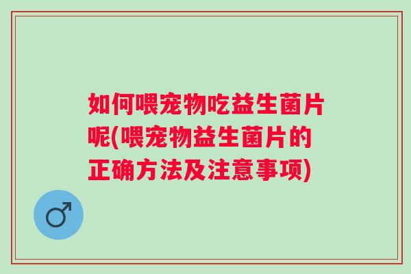 如何喂宠物吃益生菌片呢(喂宠物益生菌片的正确方法及注意事项) 如何喂宠物吃益生菌片呢(喂宠物益生菌片的正确方法及注意事项)