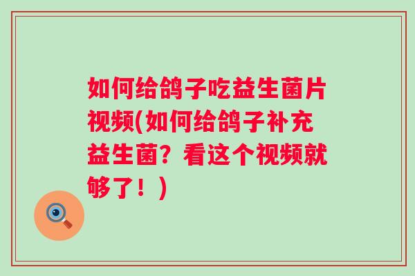 如何给鸽子吃益生菌片视频(如何给鸽子补充益生菌？看这个视频就够了！)