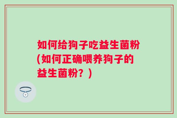 如何给狗子吃益生菌粉(如何正确喂养狗子的益生菌粉？)