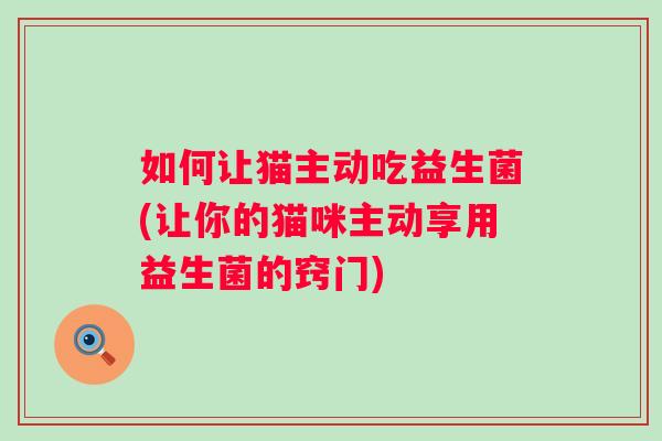 如何让猫主动吃益生菌(让你的猫咪主动享用益生菌的窍门) 如何让猫主动吃益生菌(让你的猫咪主动享用益生菌的窍门)
