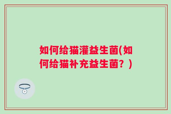 如何给猫灌益生菌(如何给猫补充益生菌？)