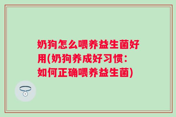 奶狗怎么喂养益生菌好用(奶狗养成好习惯：如何正确喂养益生菌)
