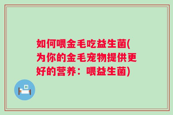 如何喂金毛吃益生菌(为你的金毛宠物提供更好的营养:喂益生菌) 如何喂金毛吃益生菌(为你的金毛宠物提供更好的营养:喂益生菌)
