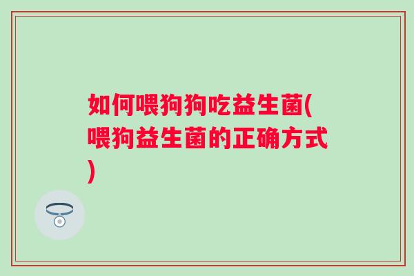 如何喂狗狗吃益生菌(喂狗益生菌的正确方式)
