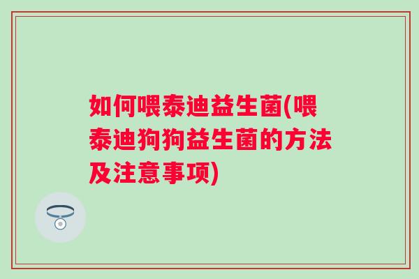 如何喂泰迪益生菌(喂泰迪狗狗益生菌的方法及注意事项)