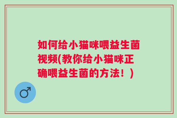 如何给小猫咪喂益生菌视频(教你给小猫咪正确喂益生菌的方法！)