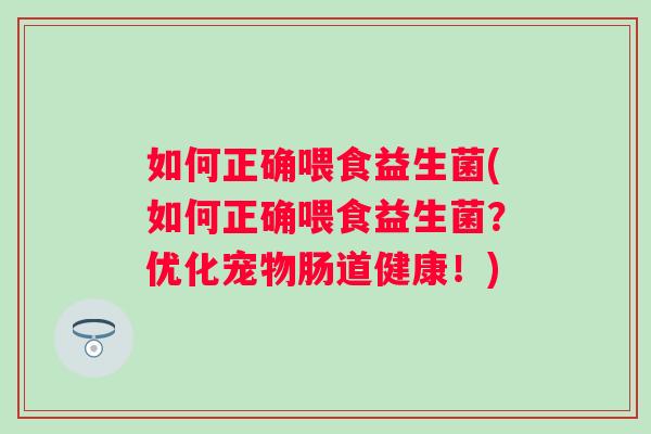 如何正确喂食益生菌(如何正确喂食益生菌？优化宠物肠道健康！)