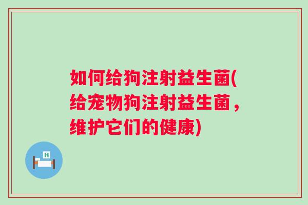如何给狗注射益生菌(给宠物狗注射益生菌,维护它们的健康) 如何给狗注射益生菌(给宠物狗注射益生菌,维护它们的健康)