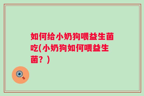 如何给小奶狗喂益生菌吃(小奶狗如何喂益生菌?) 如何给小奶狗喂益生菌吃(小奶狗如何喂益生菌?)