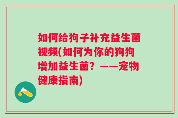 如何给狗子补充益生菌视频(如何为你的狗狗增加益生菌？——宠物健康指南)