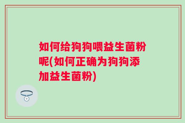 如何给狗狗喂益生菌粉呢(如何正确为狗狗添加益生菌粉)