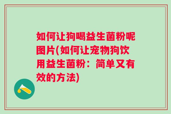 如何让狗喝益生菌粉呢图片(如何让宠物狗饮用益生菌粉：简单又有效的方法)