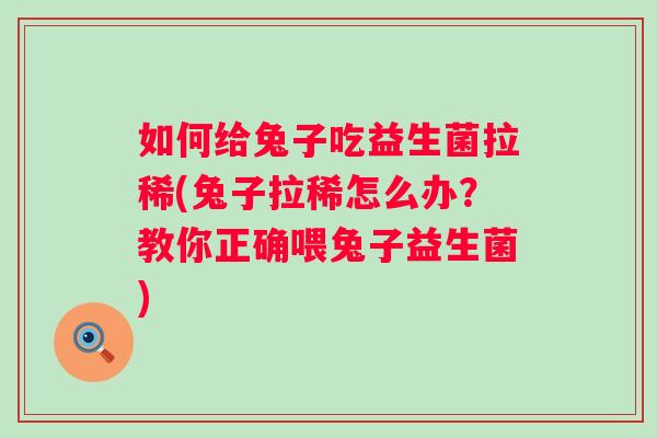如何给兔子吃益生菌拉稀(兔子拉稀怎么办？教你正确喂兔子益生菌)