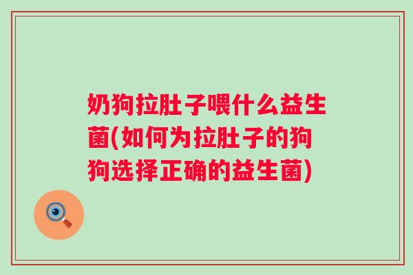 奶狗拉肚子喂什么益生菌(如何为拉肚子的狗狗选择正确的益生菌)