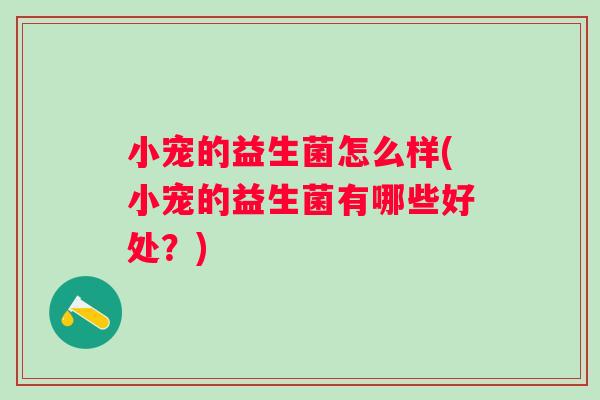 小宠的益生菌怎么样(小宠的益生菌有哪些好处?) 小宠的益生菌怎么样(小宠的益生菌有哪些好处?)