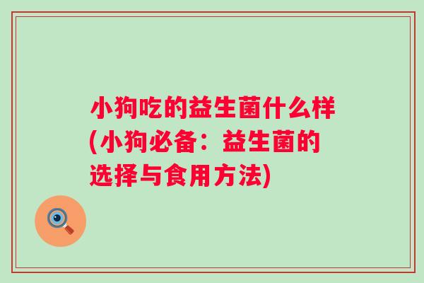 小狗吃的益生菌什么样(小狗必备：益生菌的选择与食用方法)