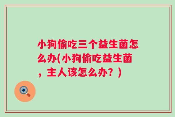 小狗偷吃三个益生菌怎么办(小狗偷吃益生菌，主人该怎么办？)