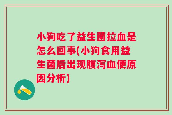 小狗吃了益生菌拉是怎么回事(小狗食用益生菌后出现便原因分析) 小狗吃了益生菌拉是怎么回事(小狗食用益生菌后出现便原因分析)
