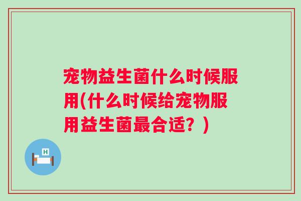 宠物益生菌什么时候服用(什么时候给宠物服用益生菌合适?) 宠物益生菌什么时候服用(什么时候给宠物服用益生菌合适?)