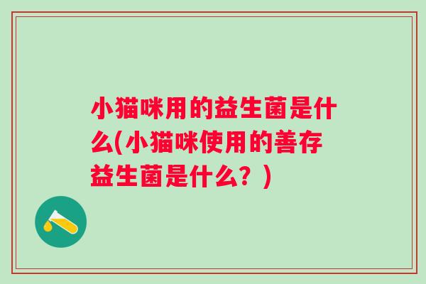 小猫咪用的益生菌是什么(小猫咪使用的善存益生菌是什么？)