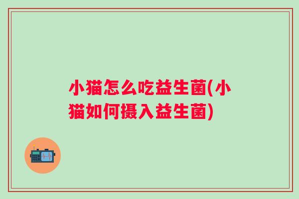 小猫怎么吃益生菌(小猫如何摄入益生菌)