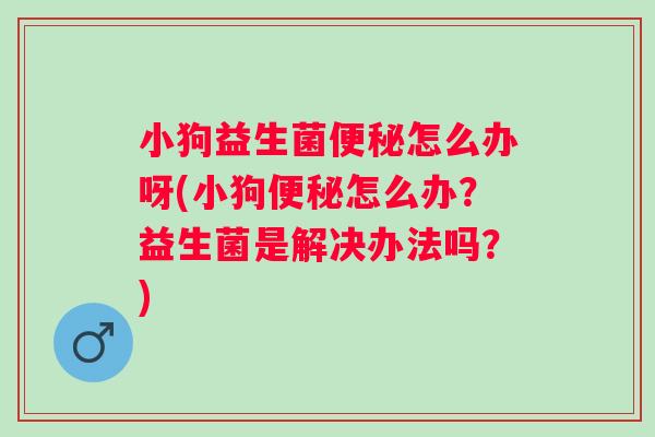 小狗益生菌怎么办呀(小狗怎么办?益生菌是解决办法吗?) 小狗益生菌怎么办呀(小狗怎么办?益生菌是解决办法吗?)